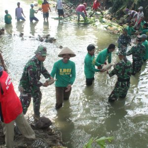 Warga Bersama TNI dan BPBD Tambal Tanggul dengan Bronjong