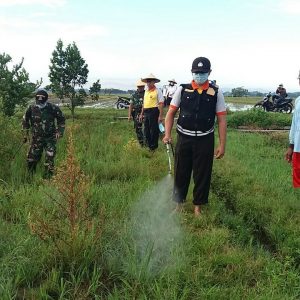 Petani Mojolaban Kolaborasi dengan TNI Basmi Hama Padi