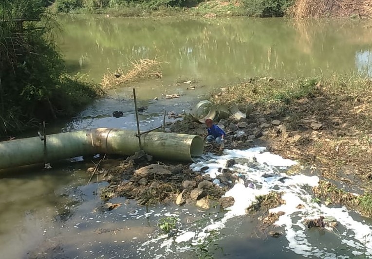 Ikan di Sungai  Bengawan Solo Mati Diduga Karena Air  