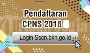 Tips Memilih Formasi CPNS Yang Tepat