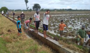 Dikejar, Diburu, dan Dibunuh Bersama-Sama, Namanya Tikus!