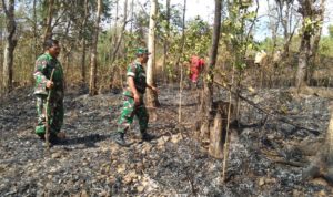 Lahan Hutan Beling Lesung Bulu Terbakar Seluas 1 Hektar