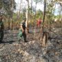 Lahan Hutan Beling Lesung Bulu Terbakar Seluas 1 Hektar