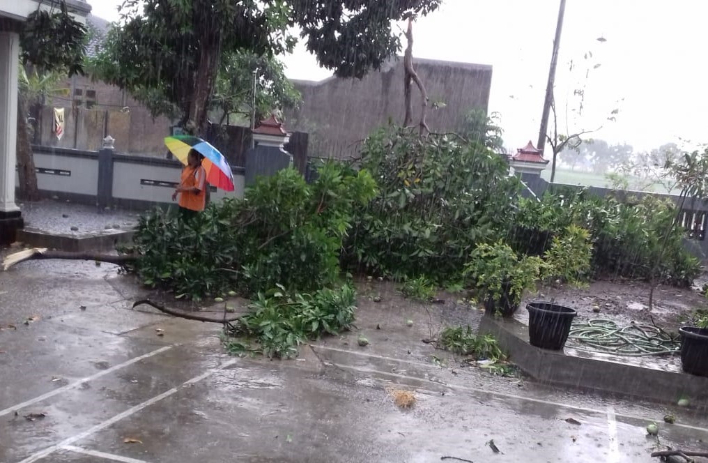 Update Data Kerusakan Akibat Angin Puting Beliung, Rumah Rusak Capai Ratusan