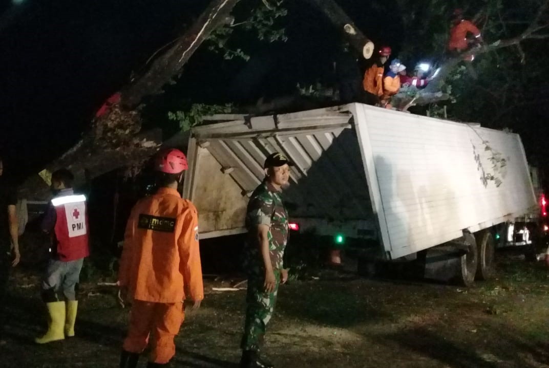Truk Box Ringsek Tertimpa Pohon Tumbang di Mojolaban