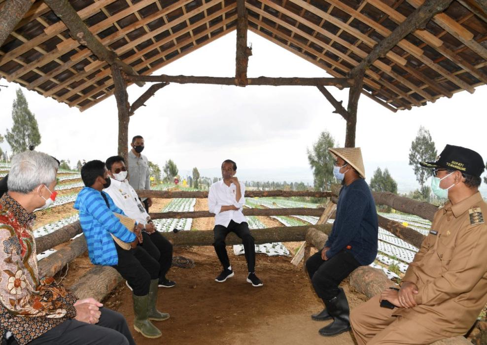 Petani Curhat Dan Mengeluh Soal Impor Bawang Putih, Jokowi Langsung Telepon Menteri Perdagangan