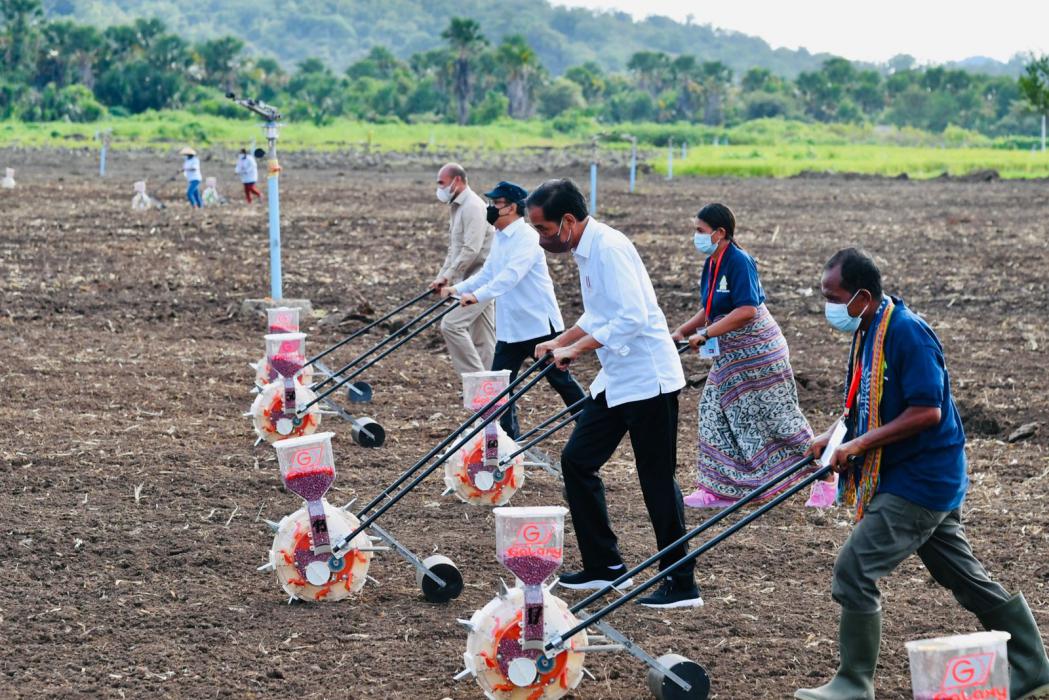 Atasi Pananganan Lahan Sulit, Jokowi Dorong Pemanfaatan Teknologi Sistem Pertanian di NTT
