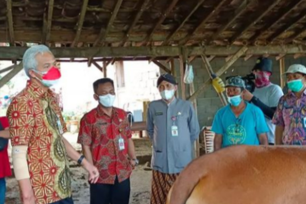 Pantau Vaksinasi PMK di Sukoharjo, Ganjar: Vaksin PMK Segera Berikan ke Ternak