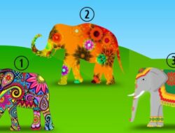 Tes Kepribadian: Cari Tahu Kontrak Jiwa yang Anda Kerjakan Dengan Memilih Gajah Ini