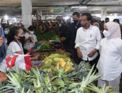 Hari Kedua Kunker di Sumatera Utara, Ini yang Dilakukan Jokowi