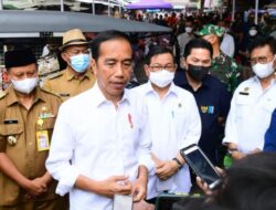 Begini Pernyataan Tegas Jokowi Soal Menteri Berkampanye