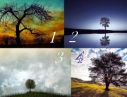 Tes Psikologi: Pilih Pohon Ajaib dan Cari Tahu Apa yang Menanti Anda Besok