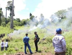 Ladang Ganja 25 Hektar Dimusnahkan Polri, Total Ada 13 Tersangka