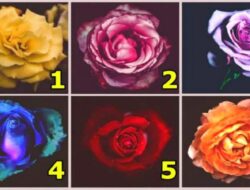Tes Kepribadian: Siapa Aku Sebenarnya? Pilih Mawar untuk Menemukan Lebih Banyak Tentang Karakter Anda