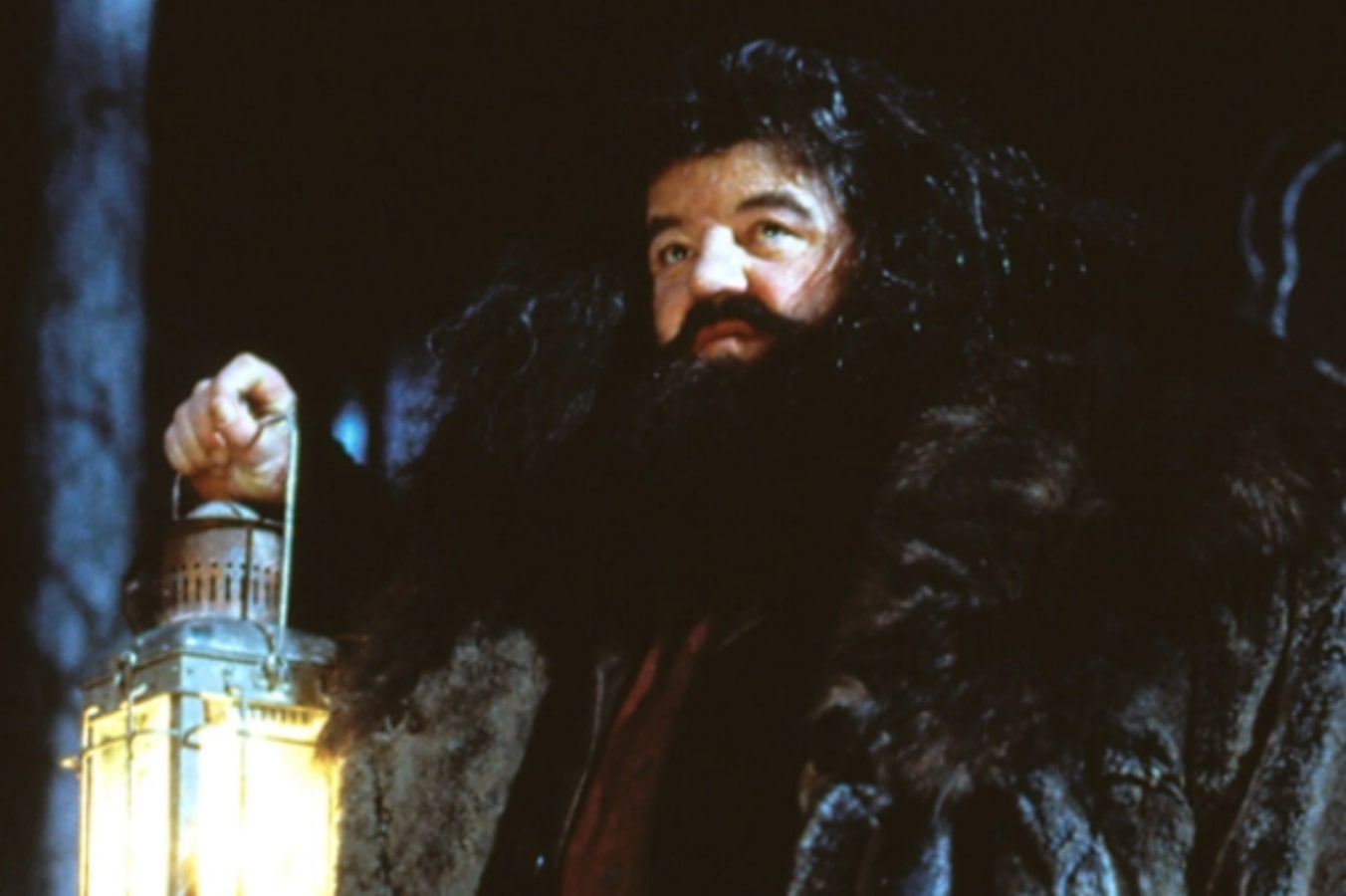 Robbie Coltrane, Aktor Hagrid Dalam Waralaba "Harry Potter", Meninggal ...