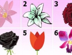 Tes Kepribadian: Pelajari Rahasia Kepribadian Anda dengan Memilih Bunga yang Paling Anda Suka