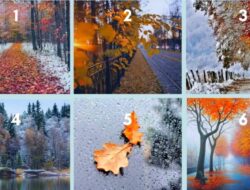Tes Psikologi: Pilih Foto dan Cari Tahu Seperti Apa Musim yang Akan Datang Untuk Anda
