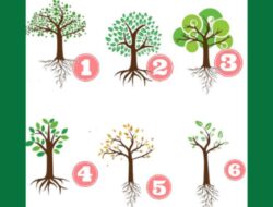 Tes Kepribadian: Pohon Mana yang Anda Pilih? Akar Bisa Berkata Banyak Tentang Kehidupan Anda
