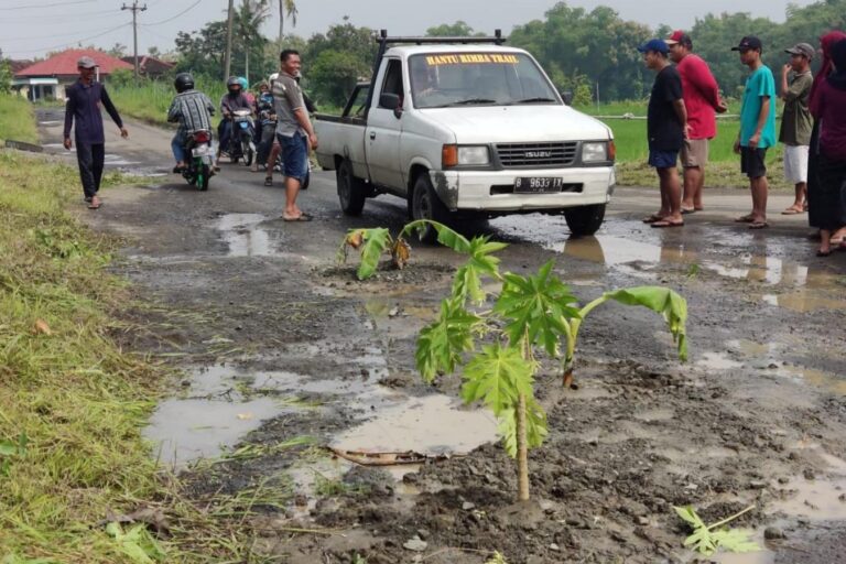 Jalan Pundungrejo Sanggang Rusak Parah Akibat Galian C Warga Tanam Pohon Pisang Di Jalan 8675