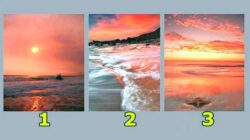 Tes Kepribadian: Temukan Apa yang Penting bagi Anda Selama 3 Hari ke Depan dengan Memilih Sunset yang Anda Suka