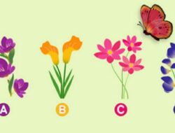 Tes Kepribadian: Pilih Bunga Tempat Kupu-kupu Akan Beristirahat dan Cari Tahu Apa yang Diungkapkan Tentang Titik Lemah Anda