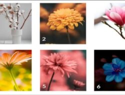 Tes Psikologi: Pilih Bunga dan Cari Tahu Apa yang Ingin Disampaikan Suara Batin Anda