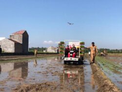 Seluas 9.000 Hektar Sawah di Sukoharjo Ditarget Tanam Padi MT I Hingga Akhir Januari Ini