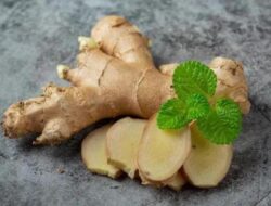 Berikut Manfaat Kencur jadi Obat Segala Penyakit