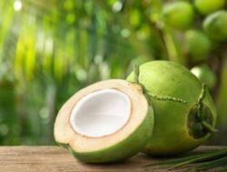 Sederet Manfaat Air Kelapa untuk Kesehatan