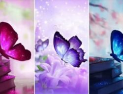 Tes Kepribadian: Ikuti Tes Seru Ini, Pilih Kupu-kupu Untuk Mengetahui Lebih Banyak Tentang Kepribadian Anda