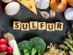 Cara Meningkatkan Kadar Glutathione