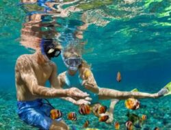 Ingin Menikmati Bulan Madu yang Tak Biasa? Simak Tempat Bulan Madu Bagi Pasangan Penggila Petualangan Berikut