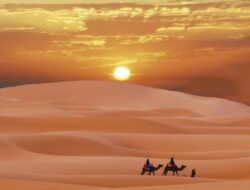 Rekomendasi Gurun Pasir Terbaik di Dunia yang Perlu Anda Kunjungi