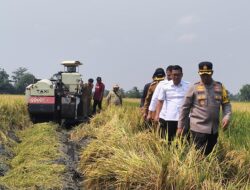 Berkunjung ke Sukoharjo, Plt Menteri Pertanian Apresiasi Hasil Panen Padi