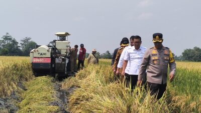 Berkunjung ke Sukoharjo, Plt Menteri Pertanian Apresiasi Hasil Panen Padi