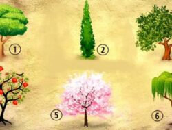Tes Kepribadian: Pohon Mana yang Akan Anda Tanam di Taman, Pilih Satu dan Temukan Sesuatu untuk Diri Sendiri