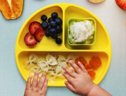Simak Ibu Tak Perlu Khawatir ini Tips Makanan Sehat untuk Bayi
