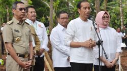 Pembangunan IKN Sering Disindir Capres, Begini Pernyataan Tegas Jokowi