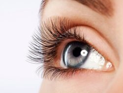 Ingin Memanjangkan Bulu Mata Secara Alami? Simak Caranya Disini!