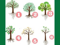 Tes Kepribadian: Pohon Mana yang Anda Pilih? Akar Dapat Mengatakan Banyak Hal Tentang Kehidupan Anda