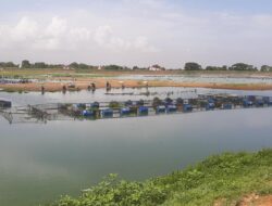 Air Waduk Mulur Surut, Pemancing Bisa ke Tengah Waduk Motoran, Petani Karamba Kurangi Volume Ikan