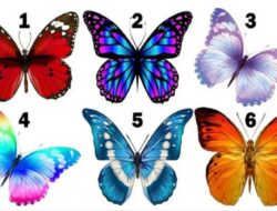 Tes Kepribadian: Pelajari Lebih Lanjut Tentang Karakter Anda dengan Memilih Kupu-kupu yang Paling Anda Suka