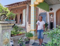 Seni Bonsai, Bermula dari Sekadar Hobi, Berubah Menjadi Mata Pencaharian