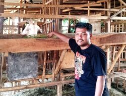Bisa Menjadi Inspirasi, Meski Berstatus Seorang Mahasiswa, Lutfi Walid Tak Malu Beternak Kambing