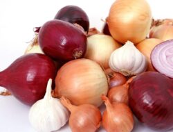 Dapat Meredakan Alergi Berikut Manfaat Konsumsi Bawang Merah untuk Kesehatan Tubuh