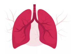 Langkah Sederhana Menjaga Kesehatan Paru-Paru