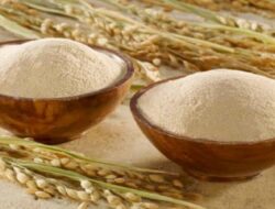 Rendah Kadar Gula, Ini Manfaat Dedak Padi Yang Bagus Untuk Kesehatan