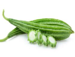 Inilah Khasiat Sayur Ceme Bening untuk Kesehatan