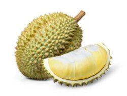 Suka Buah Durian? Simak Manfaat dan Efek Samping Buah Durian yang Wajib Diketahui