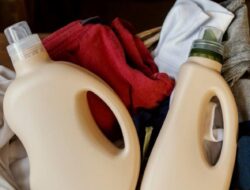 Cara Mencegah Jamur pada Pakaian dan Aksesori dalam Kelembapan Tinggi